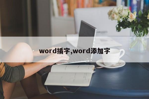 word插字,word添加字