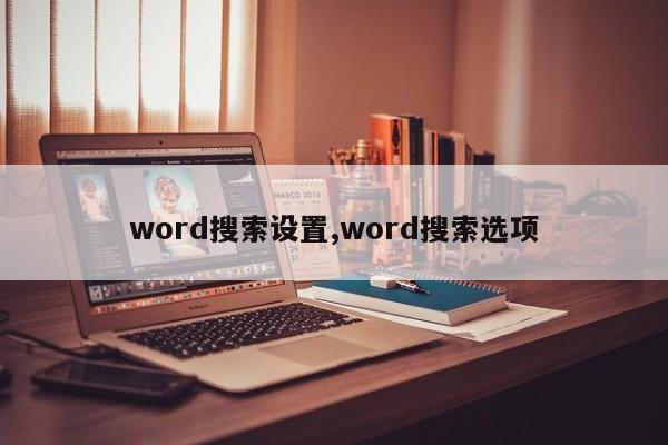 word搜索设置,word搜索选项